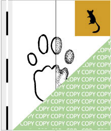0001, Affe 01, Nachtäffchen, South African Galago, Galago moholi