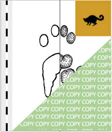 0002, affe02, Riesengalago, Greater galago,  Otolemur crassicaudatus
