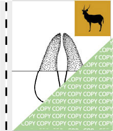 0024, bock04, Ellipsenwasserbock, Waterbuck, Kobus ellipsiprymnus