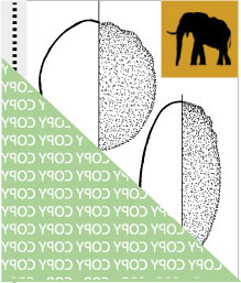 0040, elefant01, Afrikanischer Elefant, African elephant, Loxodonta africana