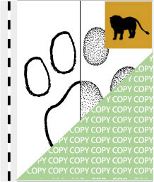 0076, loewe01, Löwe, Lion, Panthera leo