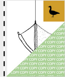 0047, gans01, Wilde Gans, Goose, Anserinae