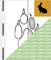 0050, hase01, Feldhase, Hare, Lepus capensis