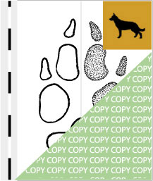 0054, hund01, Haushund, Dog, Canis familiaris