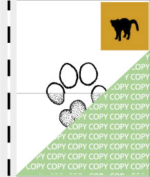 0064, katze01, Hauskatze, Domestic cat, Felis silvestris f. catus