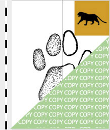 0074, leopard01, Leopard, Leopard, Panthera pardus