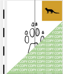 0078, manguste01, Fuchsmanguste, Yellow Mongoose, Cynictus penicillata