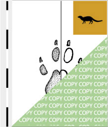 0080, manguste03, Rotichneumon  , Slender mongoose, Galerella sanguinea