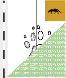 0083, manguste06, Zebramanguste, Banded mongoose, Mungos mungo