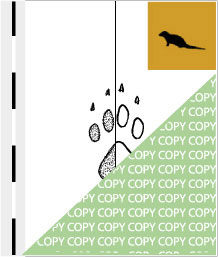 0084, manguste07, Zwergmanguste, Dwarf mongoos, Helogale parvula