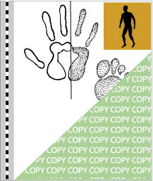 0088, mensch01, Mensch, Human, Homo sapiens
