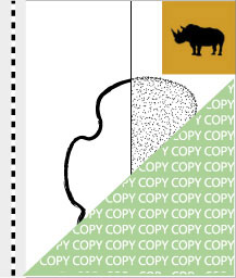 0092, nashorn01, Breitmaulnashorn, White rhino, Ceratotherium simum