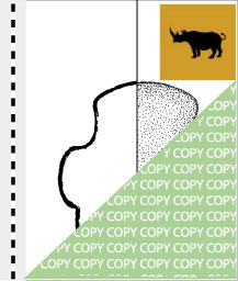 0093, nashorn02, Spitzmaulnashorn, Black rhino, Diceros bicornis