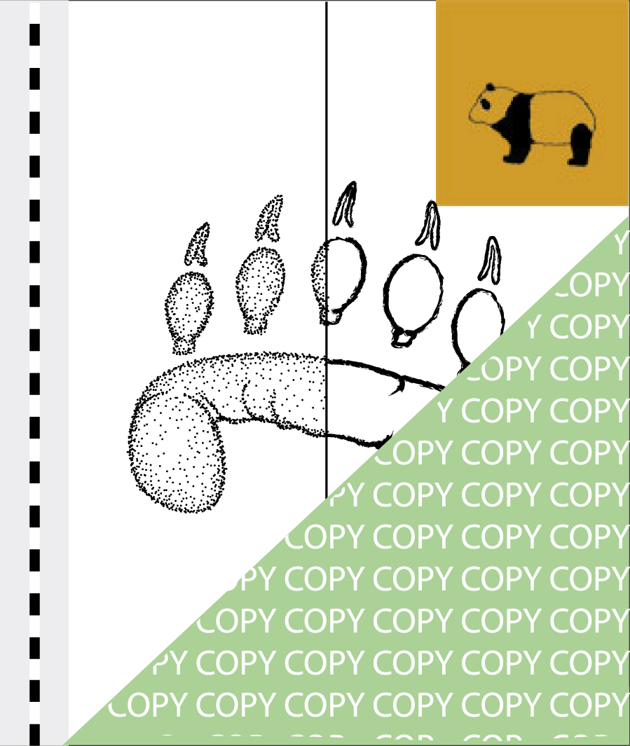 B004, Baer04, Pandabär, Panda, Ailuropoda melanolesca