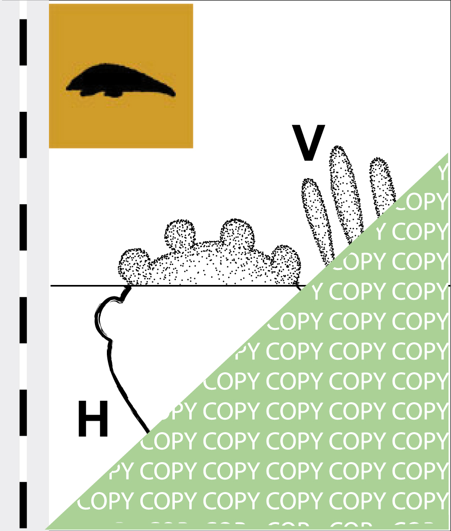 ProduktvorschauSchuppentier